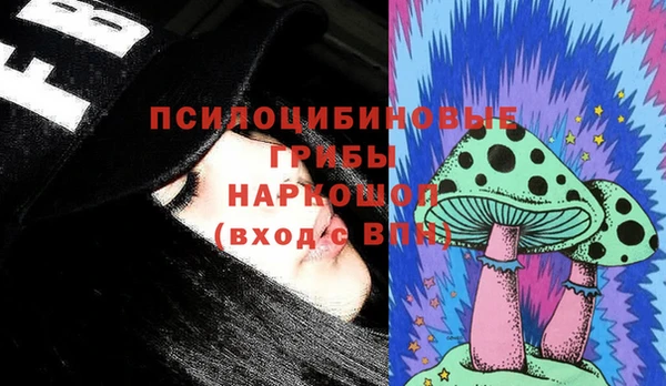 бошки Магас
